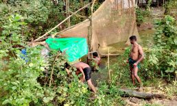 হাতিয়ায় মৎস্য সংরক্ষণ আইন বাস্তবায়নে অভিযান