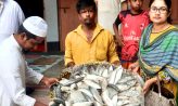 নিষেধাজ্ঞা অমান্য করে বেগমগঞ্জে ইলিশ মাছ বিক্রি, ৪৫ কেজি ইলিশ জব্দ