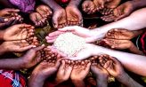 খাদ্য নিরাপত্তা অর্জনে যত বাধা