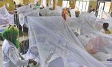ডেঙ্গুতে ৩ জনের মৃত্যু, হাসপাতালে ভর্তি  ১০৩০