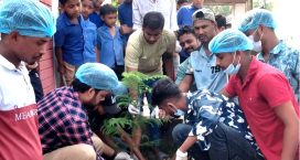 সোনাইমুড়ীতে ছাত্রদলের উদ্যোগে বৃক্ষরোপন ও পরিচ্ছন্নতা কর্মসূচী
