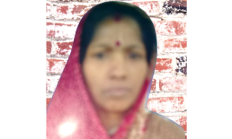 সুবর্ণচরে পূজার ফুল তুলতে গিয়ে সাপের কামড়ে এক নারীর মৃত্যু