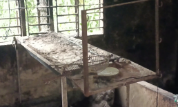 সেনবাগ অগ্নিকান্ডে ব্যবসা প্রতিষ্টান পুড়ে ছাঁই ৫ লাখ টাকা ক্ষতি