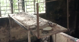 সেনবাগ অগ্নিকান্ডে ব্যবসা প্রতিষ্টান পুড়ে ছাঁই ৫ লাখ টাকা ক্ষতি
