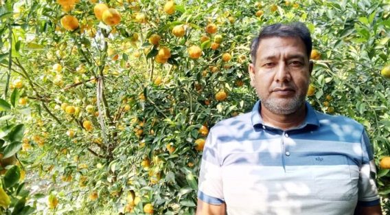 রামরঙ্গন কমলা চাষে অহিদুজ্জামানের স্বপ্নপূরণ