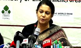 রাজনৈতিক দলগুলো নির্বাচন চাইবে এটাই স্বাভাবিক: রিজওয়ানা