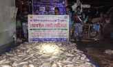 হাতিয়াতে ৩৬ জেলে আটক,এতিমখানায় গেল ১০মণ ইলিশ