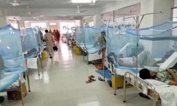 ডেঙ্গুতে দশ মাসে ৩০০ জনের মৃত্যু