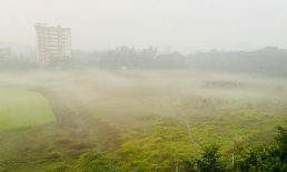 কুয়াশার খামে নোবিপ্রবি ক্যাম্পাসে শীতের আগমন