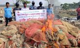 হাতিয়ায় সূর্যমুখী ঘাটে বেহুন্দি জাল জব্দ