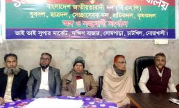 মহান বিজয় দিবস উপলক্ষে বিএনপির আলোচনা সভা