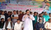 দেশের বিরাজমান সংকট উত্তরণে জাতির আস্থা তারেক রহমান: মীর হেলাল