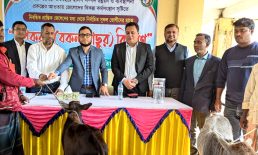 হাতিয়ায় জেলে পরিবারের মাঝে বকনা বাছুর বিতরণ
