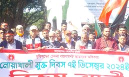 জেলায় হানাদার মুক্ত দিবস পালিত