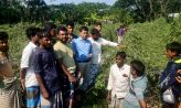 সুবর্ণচরে দেড় একর জমির করলা গাছ কেটেছে দুর্বৃত্তরা
