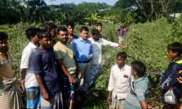 সুবর্ণচরে দেড় একর জমির করলা গাছ কেটেছে দুর্বৃত্তরা