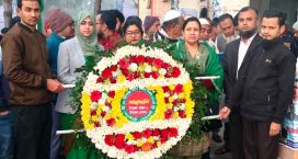 সোনাইমুড়ীতে বিজয় দিবস উদযাপন