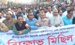 ভারতে বাংলাদেশ হাইকমিশনে হামলার প্রতিবাদে বিএনপির বিক্ষোভ