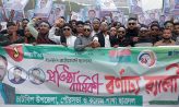 চাটখিলে ছাত্রদলের প্রতিষ্ঠাবার্ষিকী পালিত