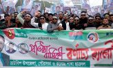 চাটখিলে ছাত্রদলের প্রতিষ্ঠাবার্ষিকী পালিত