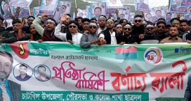 চাটখিলে ছাত্রদলের প্রতিষ্ঠাবার্ষিকী পালিত