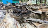 হাতিয়ায় আগুনের ভয়াবহতায় পুরো ঘর ভস্মীভূত, স্বামী-স্ত্রীর মৃত্যু