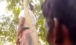 বেগমগঞ্জে ব্যবসায়ীকে হত্যা করে গাছে ঝুলিয়ে রাখার অভিযোগ