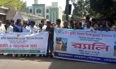 সেনবাগে স্থানীয় সরকার দিবসে র‍্যালি ও আলোচনা সভা
