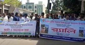 সেনবাগে স্থানীয় সরকার দিবসে র‍্যালি ও আলোচনা সভা
