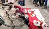 নতুনহাটে ট্রকা চাপায় ভাই-বোনের মৃত্যু