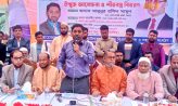 শেখ হাসিনাকে দেশে এনে বিচার করা ছাড়া বিএনপি ঘরে ফিরবে না-মামুনুর রশীদ মামুন