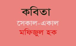 সেকাল-একাল – মফিজুল হক