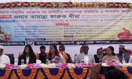 সেনবাগে বাতাকান্দি আর্দশ স্কুল এন্ড কলেজ কমিটির পরিচিতি সভা