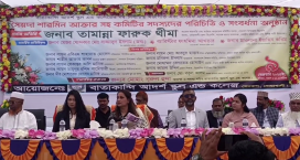 সেনবাগে বাতাকান্দি আর্দশ স্কুল এন্ড কলেজ কমিটির পরিচিতি সভা