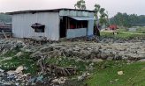 হাতিয়ায় বনবিভাগের জায়গা দখল করে যুবদল নেতার দোকানঘর নির্মাণ