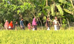 সুবর্নচরে সুপেয় পানি জন্য হাহাকার