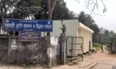 সরকারী খামারে মুরগি নেই ৩০ লাখ টাকার খাবার গেলো কই?