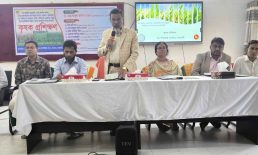 বিনা উদ্ভাবিত চাষাবাদে একই জমিতে বছরে ৪টি ফসলের ফলন সম্ভব