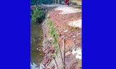 চাটখিলের পশ্চিম দেলিয়াই হাসান ভূইয়া সড়কের বেহাল দশা