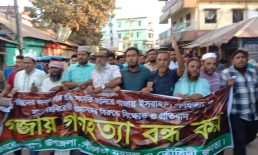 সেনবাগে ফিলিস্তিনে ইসরাইলে গণহত্যার প্রতিবাদে বিভিন্ন সংগঠনের মিছিল