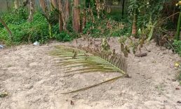 গৃহকর্মীর মরদেহ দাফন রহস্যজনক আলোচনা চলছে জেলাজুড়ে