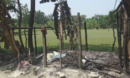 অগ্নিসংযোগ ও সন্ত্রাসী হামলা চালিয়ে ভূমি দখলের চেষ্টা, আহত ৪
