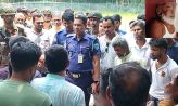 সেনবাগে গাছের ডাল কাটাকে কেন্দ্র করে ভাতিজার হাতে চাচা খুন, গ্রেফতার-১