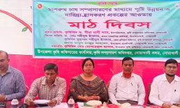 মাইজদীতে মাশরুম চাষ বিষয়ক কৃষক মাঠ দিবস অনুষ্ঠিত