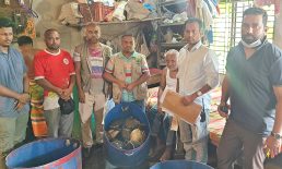 পাচারের জন্য রাখা হয়েছিল ৭৩টি কচ্ছপ, হঠাৎ হাজির বনকর্মকর্তারা