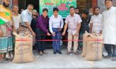 সেনবাগে অভ্যন্তরীন বোরো ধান সংগ্রহ কার্যক্রমের উদ্বোধন
