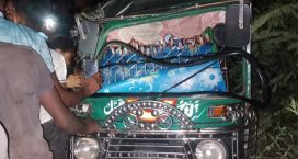 সেনবাগে দুই অটোরিকশার সংঘর্ষ চালক নিহত, আহত ৪