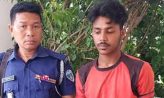 সেনবাগে কৃষি জমিতে মাটি কাটা দেড় লাখ টাকা জরিমানা