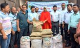 সুবর্ণচরে প্রণোদনা কর্মসূচির আওতায় বিনামূল্যে বীজ ও সার বিতরণ