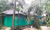 সেনবাগে ৫মিনিটের টনেডো ৩গ্রাম লন্ডভন্ড, আহত ১০